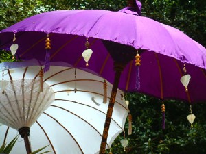 5-Dessiner-Le-Jardin-FengShui