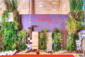 8-Mur-Végétal--Le-Jardin-Fengshui