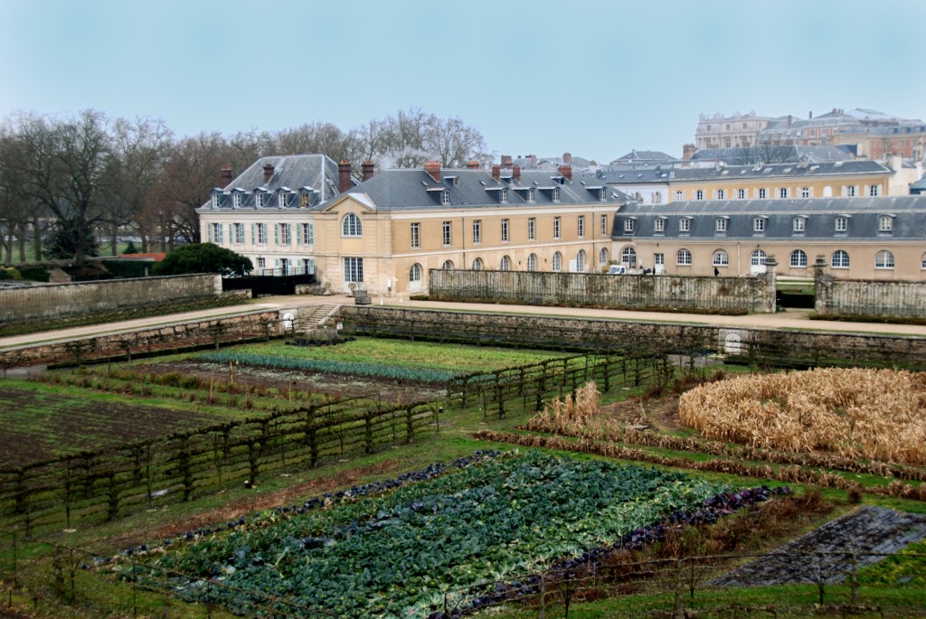 Histoire-Le-Potager-Du-Roi-Le-Jardin-FengShui