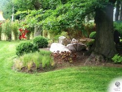 2.Jardin-Pagode