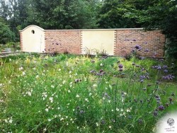3.Jardin-Cauvigny
